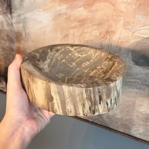Super heavy petrified wood Catchall/candle holder